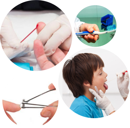 muestra contenga material genético cabello sangre hisopado